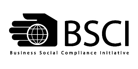 BSCI Logo